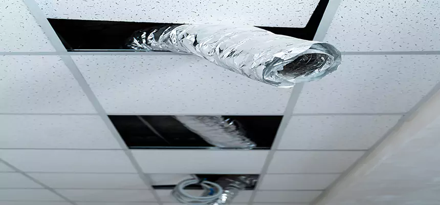 Affordable HVAC Sanitizing After Pest Removal in Fort Hood