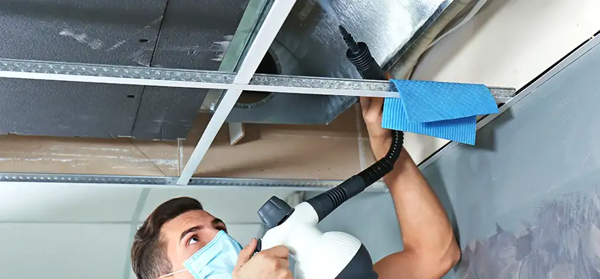 Our Air Duct Rodent Removal Services in Fort Hood, TX