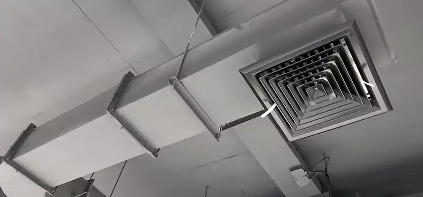 Our Pest Removal From Ducts Services in Fort Hood, TX