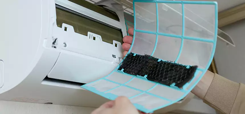 Gentle Ductwork Odor-Control Pet Dander Duct Cleaning in Fort Hood, TX