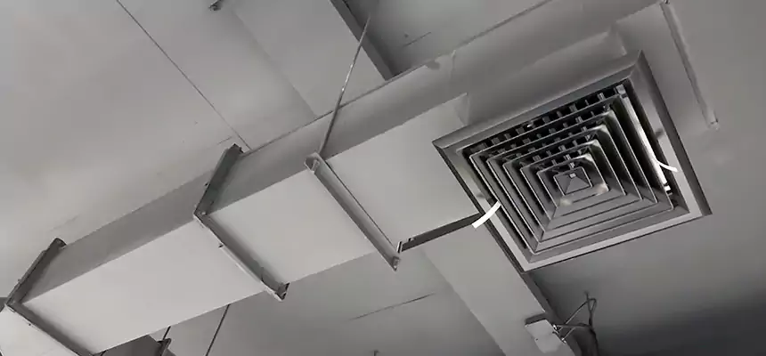 Our Rodent Droppings In Vents Services in Fort Hood, TX