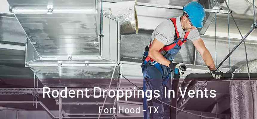  Rodent Droppings In Vents Fort Hood - TX