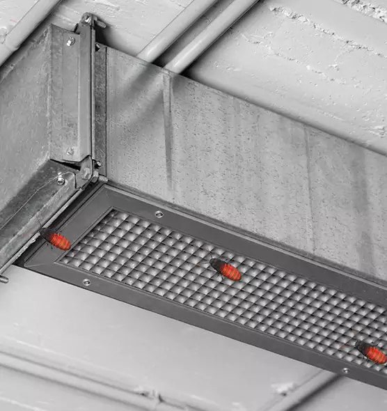 Affordable Insect Removal from Air Ducts in Fort Hood, TX