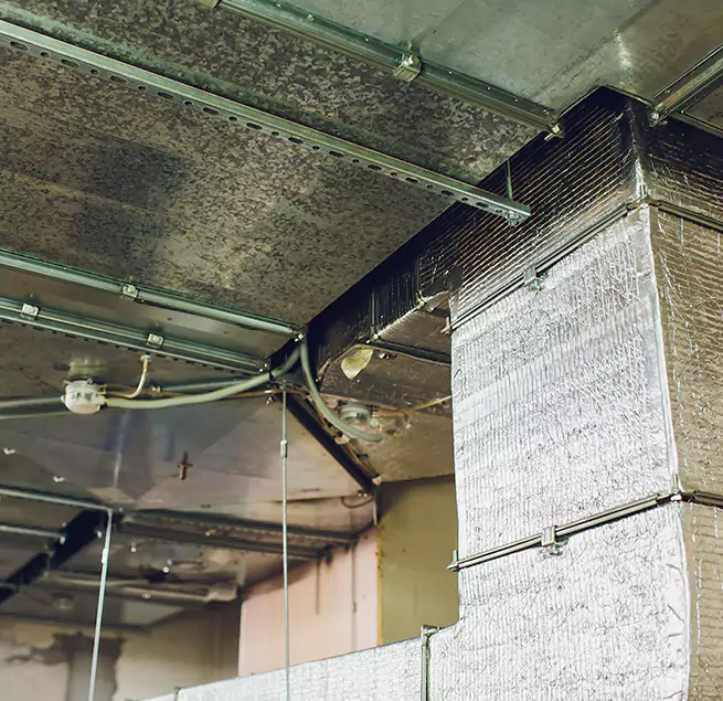 Why Homeowners & Businesses Trust Us in Fort Hood, TX?